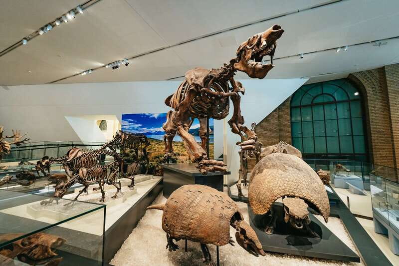 Toronto: Royal Ontario Museum Admission Ticket - Natural History Through the Origins of Life Story
