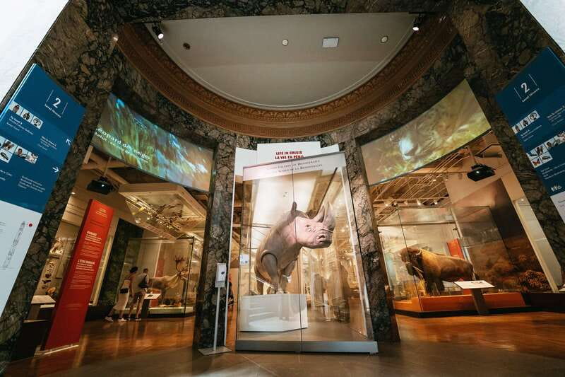 Toronto: Royal Ontario Museum Admission Ticket - Canada, First Peoples, and World Cultures in One Visit