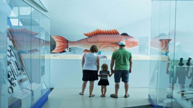 Toronto: Royal Ontario Museum Special Exhibits Voucher - Key things that make this ROM voucher worth your time
