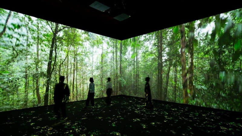 Toronto: Royal Ontario Museum Special Exhibits Voucher - Entering ROM fast: security and the small choices that save time