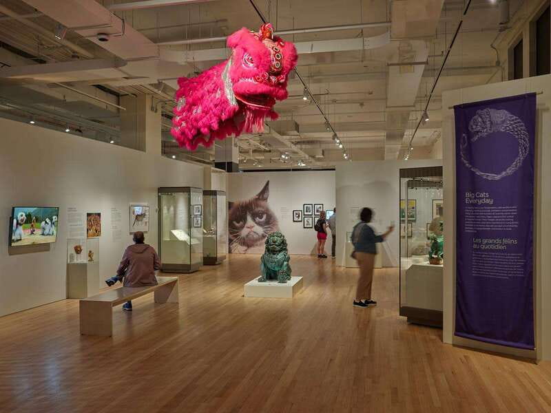 Toronto: Royal Ontario Museum Special Exhibits Voucher - How to take photos without breaking the rules
