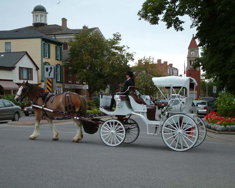 Toronto: Small-Group Niagara Falls Day Trip - Who should book this Niagara Falls VIP trip?
