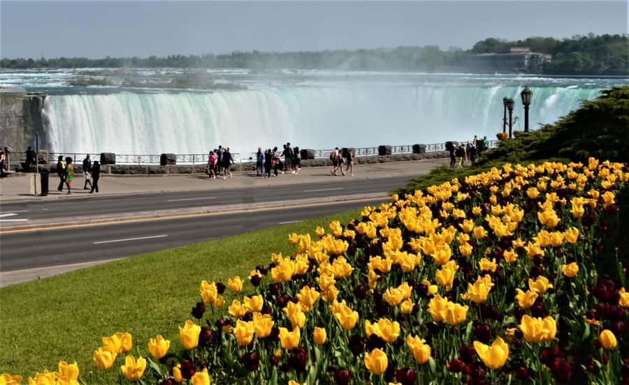 Toronto: Small-Group Niagara Falls Day Trip - Toronto pickup and the luxury ride to the Falls