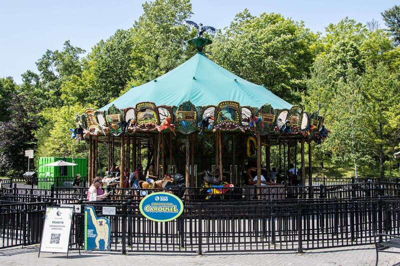 Toronto: Toronto Zoo Entry Ticket - Weather and indoor versus outdoor planning for Toronto
