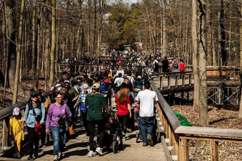 Toronto: Toronto Zoo Entry Ticket - Seven zoogeographic regions, and how to pick a route that makes sense