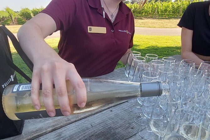 Tour of Niagara Falls (Niagara Falls) - Konzelman Winery in a German-Style Castle Setting