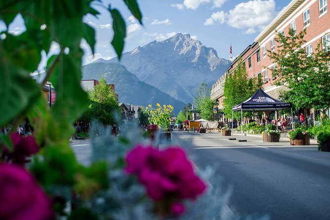 Town of Banff Highlights 2 Hour Walking Tour | Gratuity-Based - Banff Park Museum: a National Historic Site brought down to human scale
