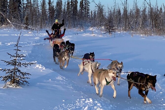 Traditional Dog Sledding Adventure in Yellowknife - Why dog sledding near Yellowknife feels like the real deal