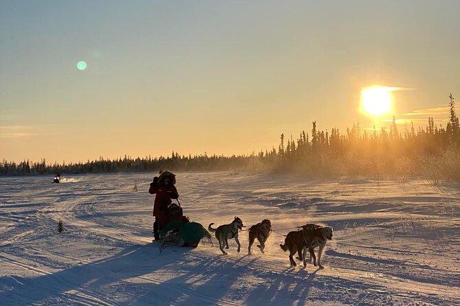 Traditional Dog Sledding Adventure in Yellowknife - Weather is part of the plan, so plan for weather