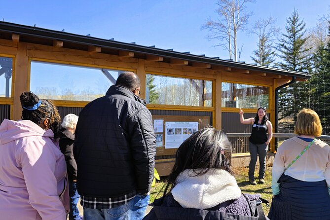 Transfer to Canmore & Banff: Yamnuska Wolfdog Sanctuary Tour - Who this tour fits best, and who should skip it