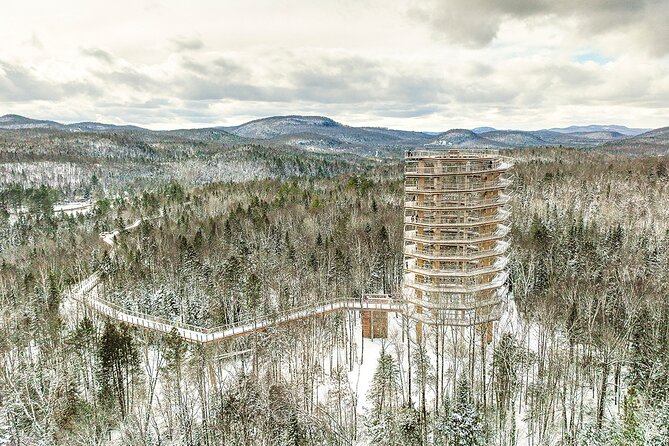 Treetop Observatory and Walk - Key Things That Make This Treetop Walk Worth It