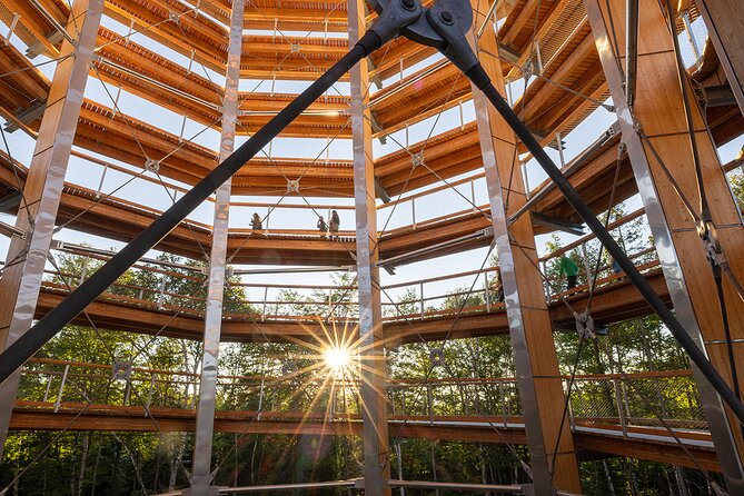 Treetop Observatory and Walk - The Walk Timing: How Long You Actually Need
