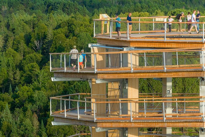 Treetop Observatory and Walk - Parking and Food: What Is Included, What You Should Plan For