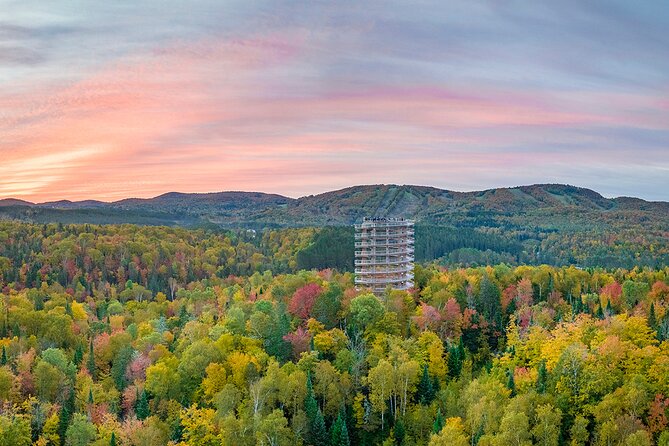 Treetop Observatory and Walk - Winter Reality Check: Cold at the Top and Outdoor Time