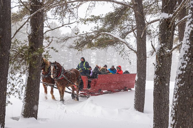 Tremblant Sleighride - Key Points I’d Highlight Before You Go