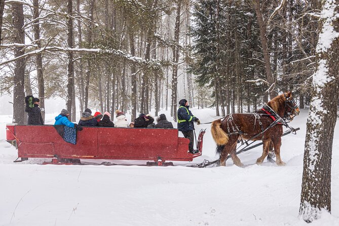 Tremblant Sleighride - Who This Sleigh Ride Is Best For (and Who Might Hesitate)