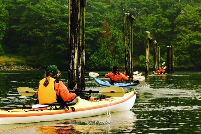 Ucluelet Harbour Tour - Key highlights before you go