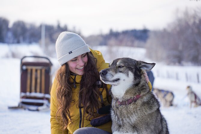 Ultimate Dog Sledding Tour - Day trip from Ottawa & Gatineau - What the Pro Musher Does for Your Comfort (and Your Photos)