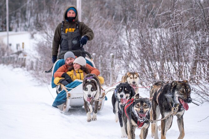 Ultimate Dog Sledding Tour - Day trip from Ottawa & Gatineau - The Waterfall Hike: A Guided Walk That Still Feels Relaxing