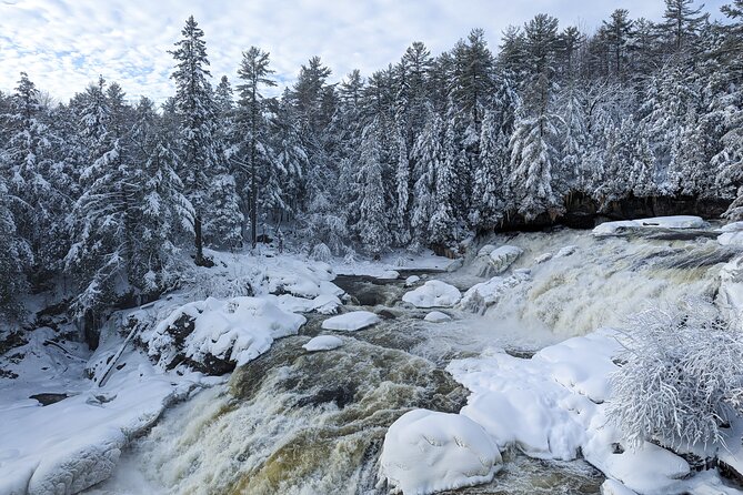 Ultimate Dog Sledding Tour - Day trip from Ottawa & Gatineau - Weather, Clothing, and the One Reality Check