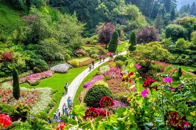 Ultimate Group Package Tour of Victoria - Why This 8.5-Hour Victoria Sampler Works for Tight Schedules