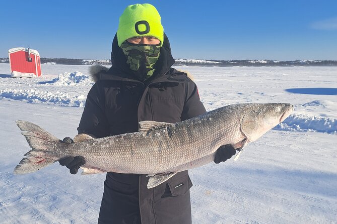 Ultimate Ice Fishing with Lunch - Key things to know before you go