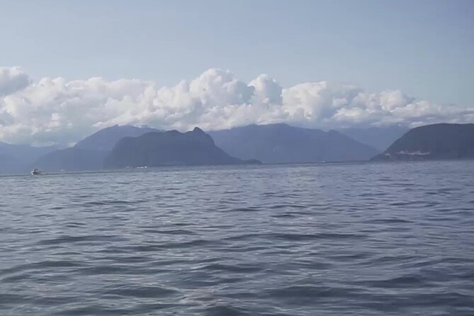 UNESCO Biosphere and Bowen Island Boat Tour with Island Visit - English Bay to Lighthouse Park, where wildlife and photos start to matter