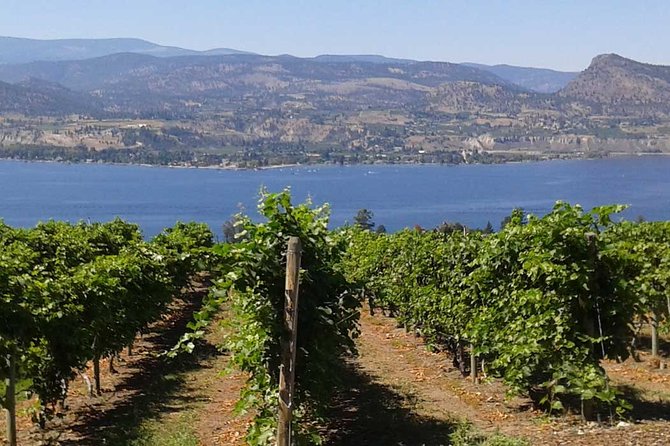 Unmatched Private Wine Tours for Up to 11 in Kelowna Area - The afternoon route: West Kelowna winery stops that fit together