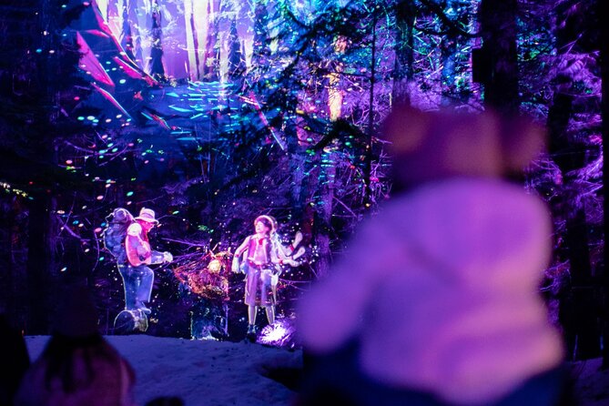 Vallea Lumina Multimedia Evening Experience - Key things I’d focus on before you book