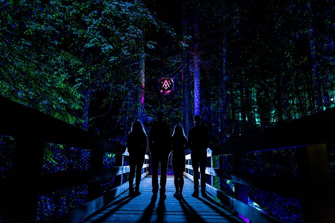 Vallea Lumina Multimedia Evening Experience - How the Multimedia Show Guides You Through the Dark
