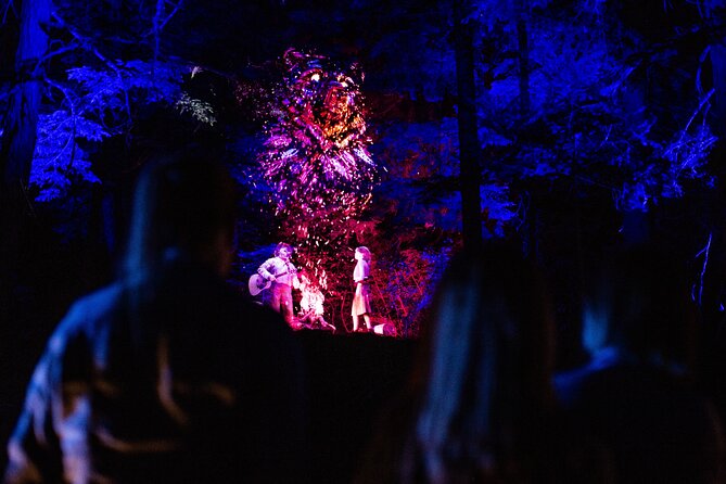 Vallea Lumina Multimedia Evening Experience - Who This Is Best For (And Who Might Skip It)