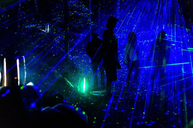 Vallea Lumina Multimedia Evening Experience - Practical Tips That Make the Walk Better