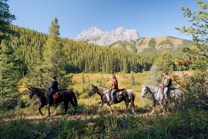 Valley Vista 1.5 Hour Horseback Trail Ride in Kananaskis - Following the Trail: Aspen, Pond Views, Rock Cut, Buffalo Herd