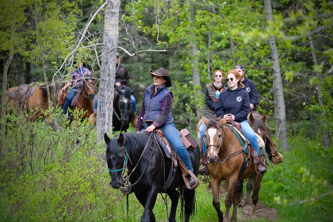 Valley Vista 1.5 Hour Horseback Trail Ride in Kananaskis - Timing and Season: May to October Means Plan Around Weather