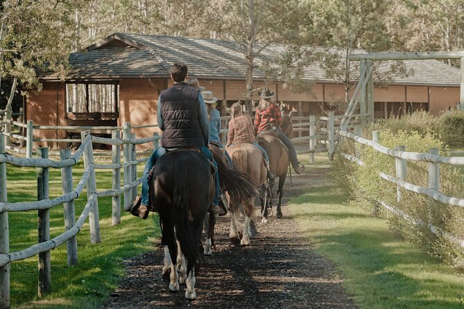 Valley Vista 1.5 Hour Horseback Trail Ride in Kananaskis - Who This Ride Suits Best (and Who Might Want to Rethink It)