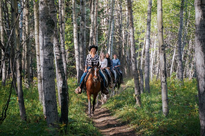 Valley Vista 1.5 Hour Horseback Trail Ride in Kananaskis - The Guide Factor: Charlie and Rebecca’s Coaching Style