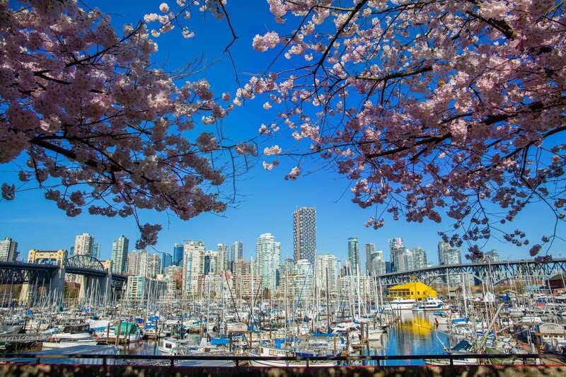 Vancouver: 24 or 48-Hour Hop-On Hop-Off Trolley Tour Pass - A throwback trolley that makes Vancouver feel doable