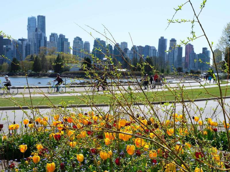 Vancouver: 24 or 48-Hour Hop-On Hop-Off Trolley Tour Pass - Should you book the Vancouver trolley hop-on hop-off pass?