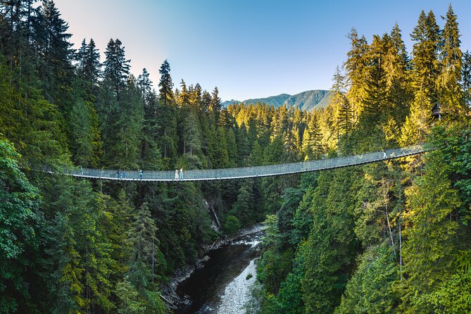 Vancouver and Capilano Suspension Bridge, a Soft Adventure Tour - Price and Value for a 6-Hour Vancouver Icon Day