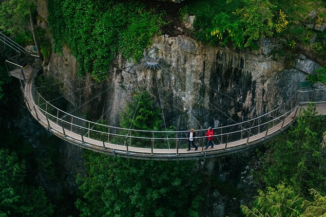 Vancouver and Capilano Suspension Bridge, a Soft Adventure Tour - Capilano Suspension Bridge Park: Lions Gate, Cliffwalk, and First Nations Art