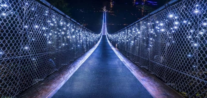 Vancouver: Attractions by Twilight Guided Tour with Dinner - Stanley Park by night: the calm before the adrenaline