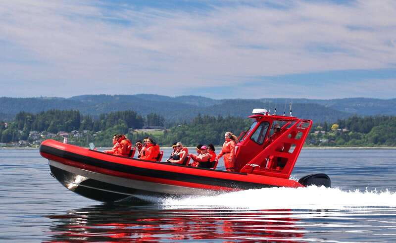Vancouver, BC: Whale Watching Tour Small Zodiac with Guide - Small 12-passenger zodiac built for real whale viewing
