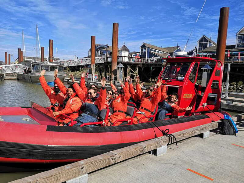 Vancouver, BC: Whale Watching Tour Small Zodiac with Guide - Who should book, and who should skip