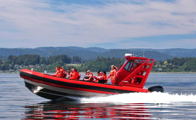 Vancouver, BC: Whale Watching Tour Small Zodiac with Guide - Getting to the check-in office in Richmond, BC