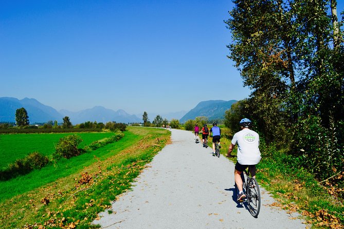 Vancouver Biking and Hiking Tour including Lunch - Why This Vancouver Biking and Hiking Tour Works as a Day Trip