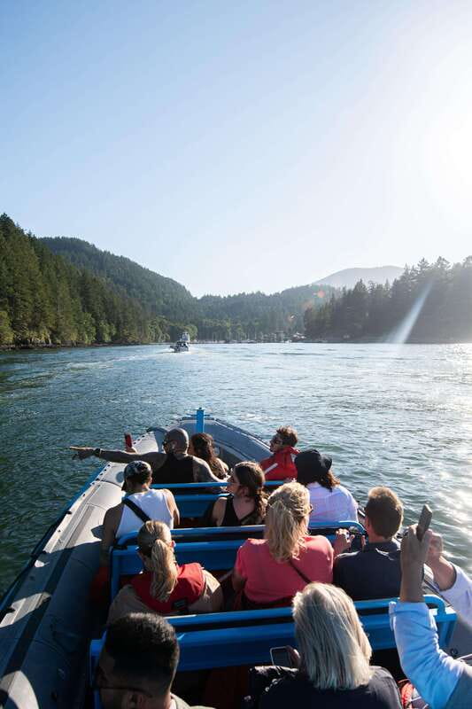 Vancouver: Boat to Bowen Island on UNESCO Howe Sound Fjord - The return trip: when wildlife timing hits