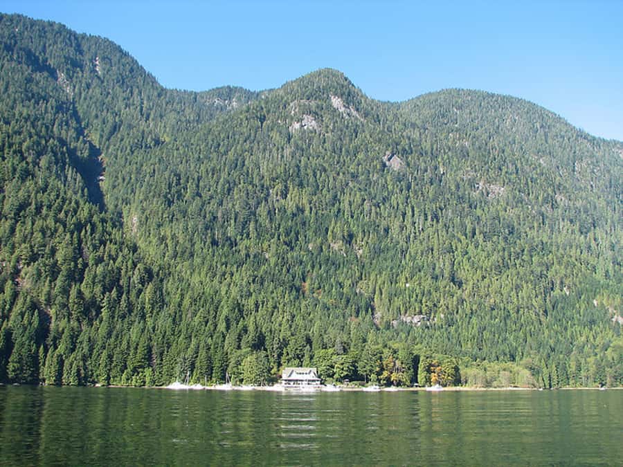 Vancouver Brunch Cruise - Indian Arm Views and the Photo Moment People Come Back For
