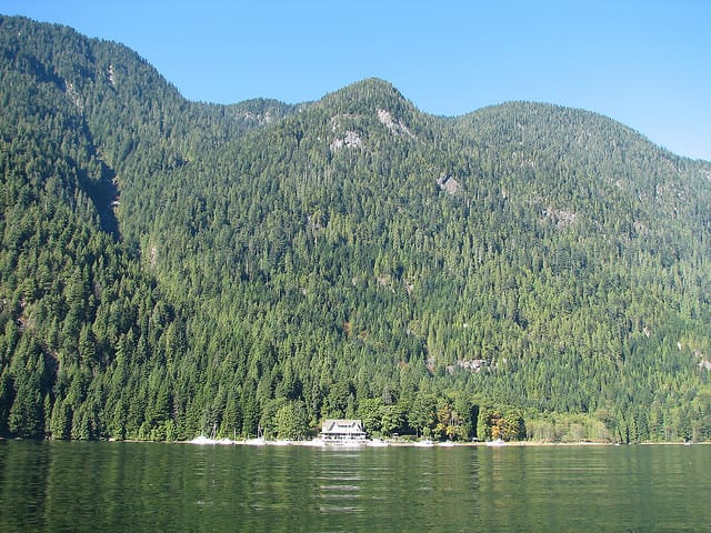 Vancouver Brunch Cruise - Price and Value at $136 Per Person