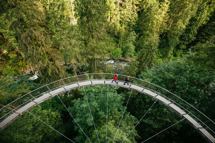 Vancouver: Capilano Bridge, Cleveland Dam & Lynn Canyon Tour - Key highlights worth planning for