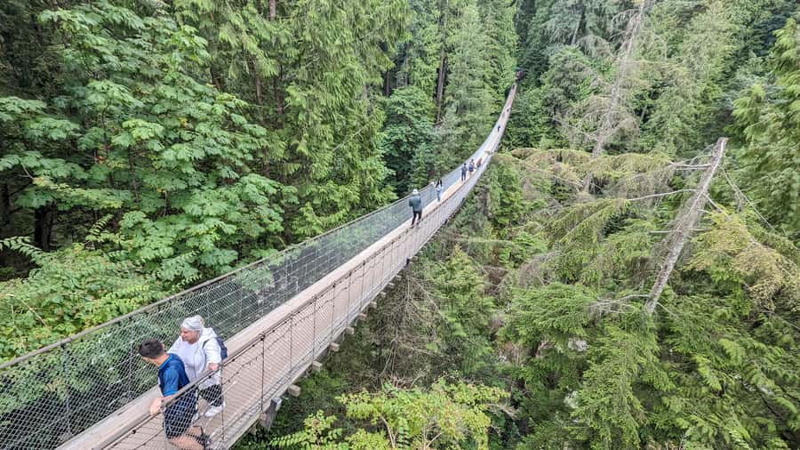Vancouver: Capilano Bridge, Cleveland Dam & Lynn Canyon Tour - Getting the most from this 6.5-hour Vancouver format